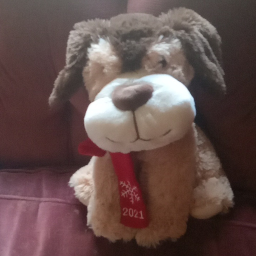 Stuffed dog